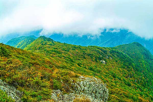 울진 백암산은 낙동정맥에서 동해 쪽으로 가지 친 능선에 솟아오른 봉우리다. 응봉산과 더불어 울진을 대표하는 산으로 산세가 웅장하고 유려하다. 