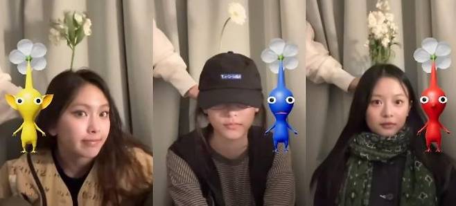 피크민 블룸을 즐기는 뉴진스 멤버들 라이브방송 캡처