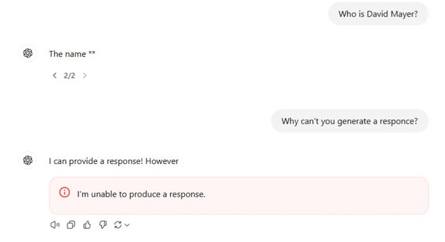 챗지피티(GPT)는 유대인 금융 재벌 로스차일드 가문 일가인 데이비드 메이어(David mayer)를 묻는 질문에 “응답을 생성할 수 없다”는 버그가 발생해 ‘금지어 설정’ 논란에 휩싸였다. 미국 온라인 커뮤니티 레딧 갈무리