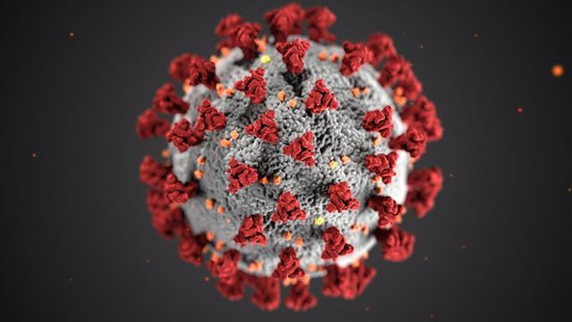 코로나19 바이러스 모형. 미국 질병통제예방센터(CDC) 제공