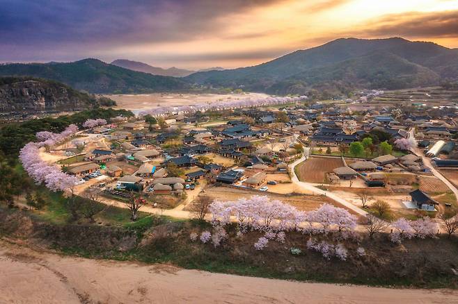 대한민국 관광공모전(사진부문) 드론 부문 '금상' 수상작 김대일 작가의 '안동하회마을의 봄'. /한국관광공사