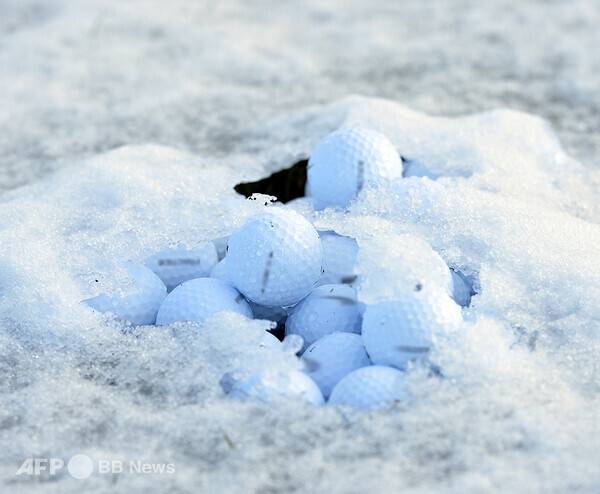 골프공이 눈에 파묻힌 참고 사진입니다. 사진제공=ⓒAFPBBNews = News1 (사진을 무단으로 사용하지 마십시오)