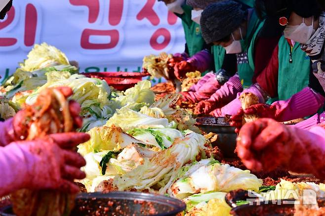 [남해=뉴시스] 차용현 기자 = 6일 오전 경남 남해군 서면행정복지센터에서 지역 새마을남녀지도자들이 사랑의 김장김치 담그기 행사를 진행하고 있다. 이날 새마을 지도자들은 손수 담근 1000여포기의 김장김치를 취약계층 가정에 전달했다. 2024.12.06. con@newsis.com