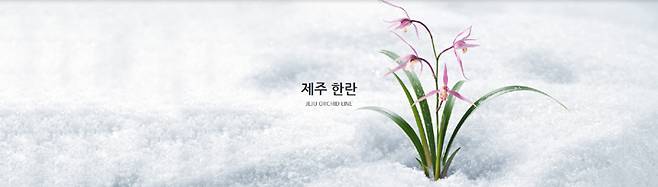 innisfree_com_20180108_185643.jpg