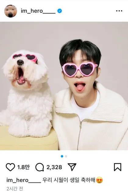 임영웅의 반려견 시월이의 생일을 축하하는 글.  사진ㅣ임영웅 개인 SNS