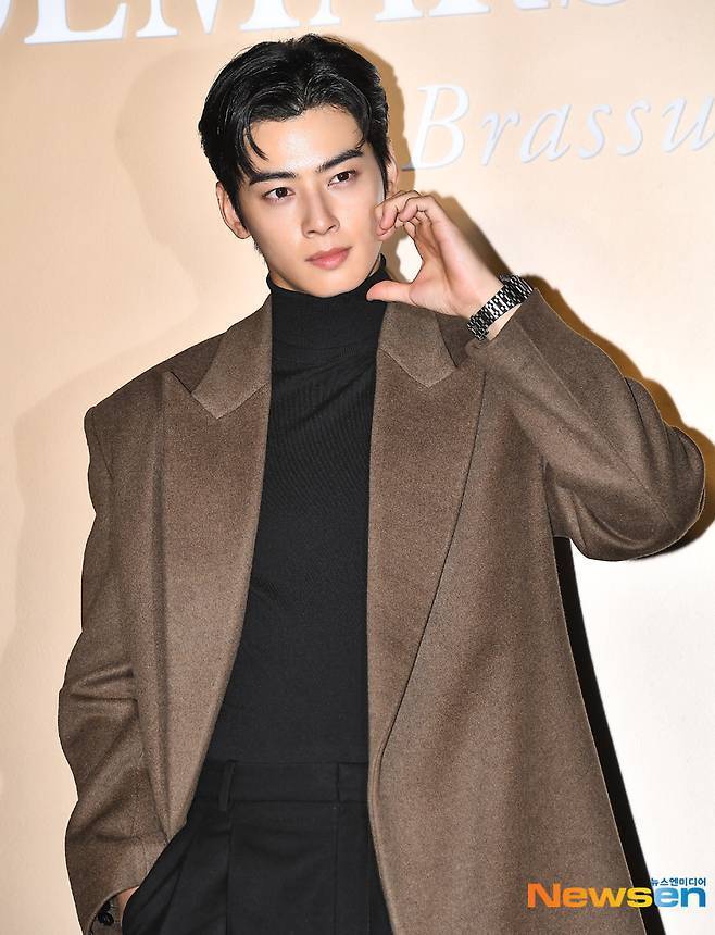 차은우/뉴스엔DB