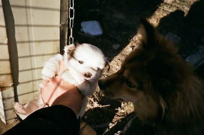 3fb8c32fffd711ab6fb8d38a4280736ee60a9f0eaae01b34639d7a26d064dfb672e2406f6b5bc64281a7fb941f