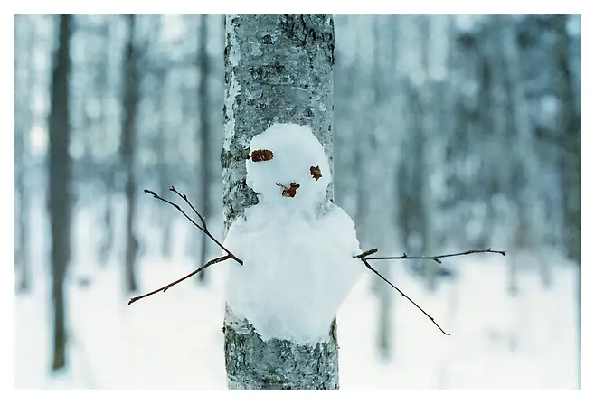 0490f719b5866ff620a8d3b706f11a391bf293c27cb540eb7753