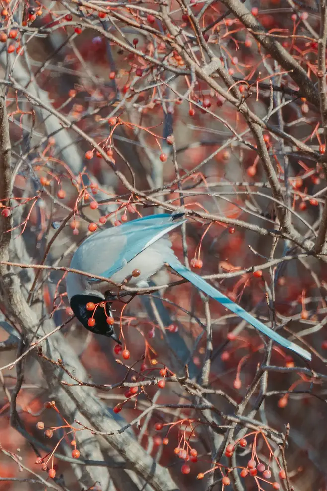 098ef319b78b68f220a8d3b706f11a3903873322290896dd7dcb