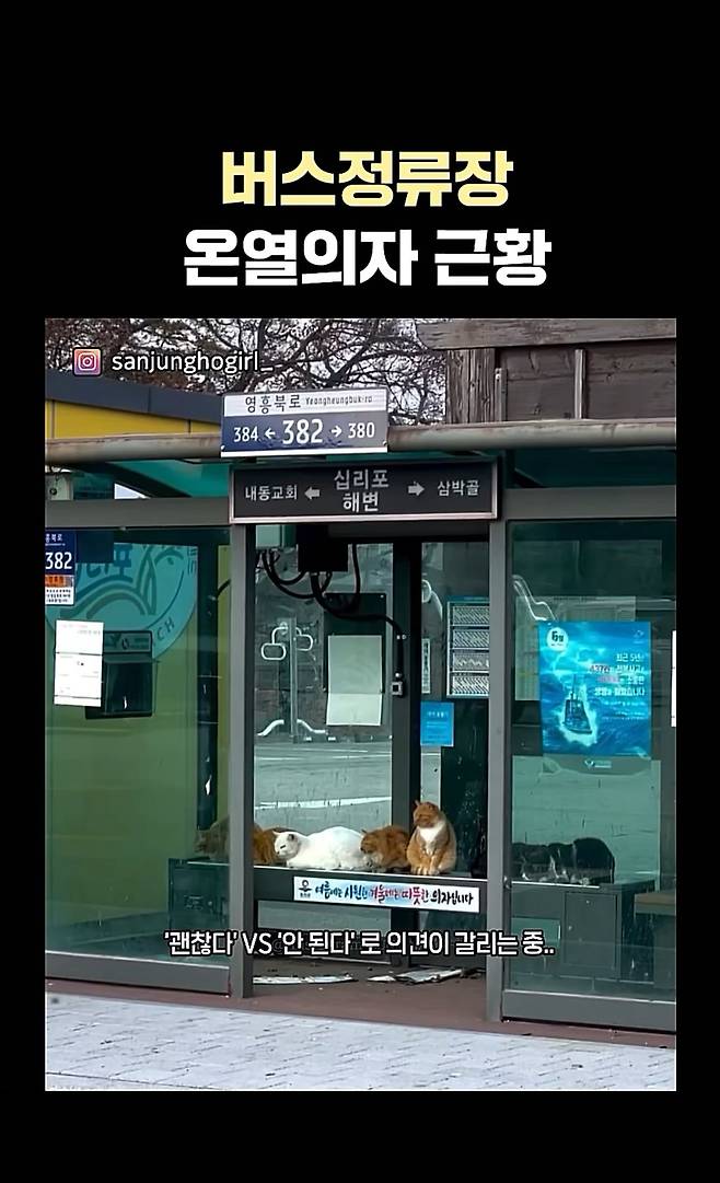 버스 정류장 온열의자 찬반 논란 ㄷㄷ