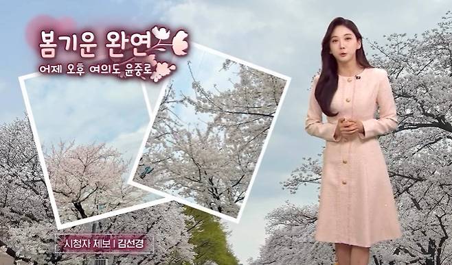 사진=MBC 뉴스 방송 캡처