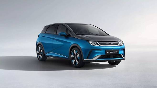 BYD 돌핀