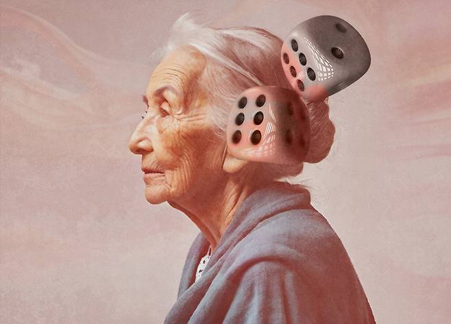 클립아트코리아