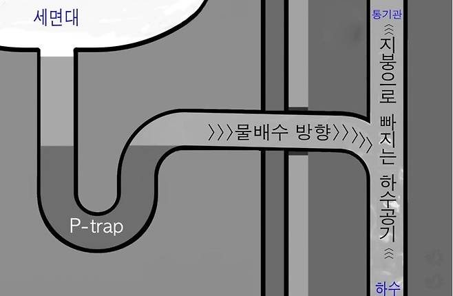 하수구조 배관에서 P-트랩을 사용하고 통기관을 바르고 과학적으로 설치한 배관을 보여주는 그림  [필자제공]