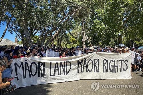 뉴질랜드 원주민 권익 보호 시위 [AP 연합뉴스 자료사진. 재판매 및 DB 금지]