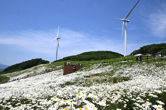 육백마지기 [평창군 제공.재판매 및 DB 금지]