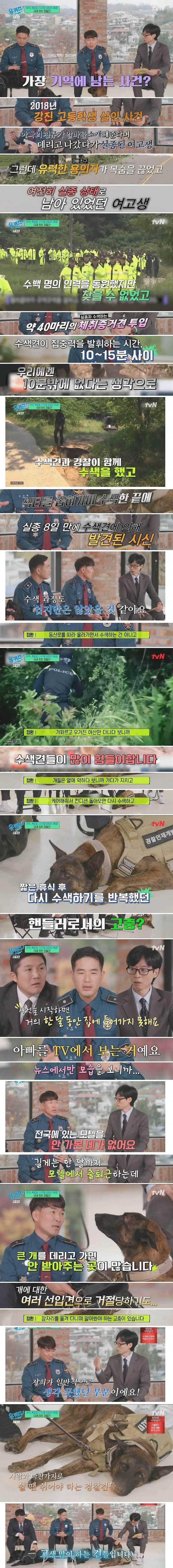 현장 나갈 때 숙소 잡기가 힘들다는 특수목적견들