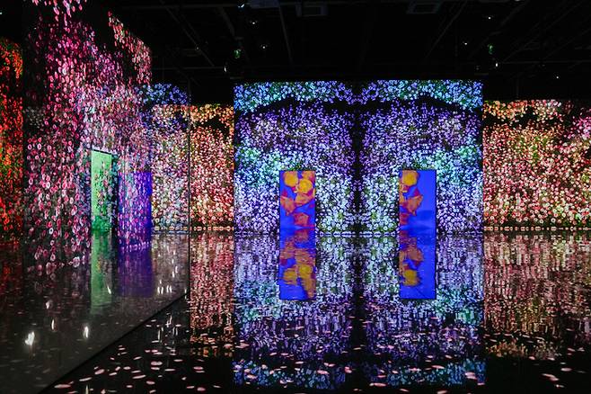 아르떼뮤지엄 부산 플라워