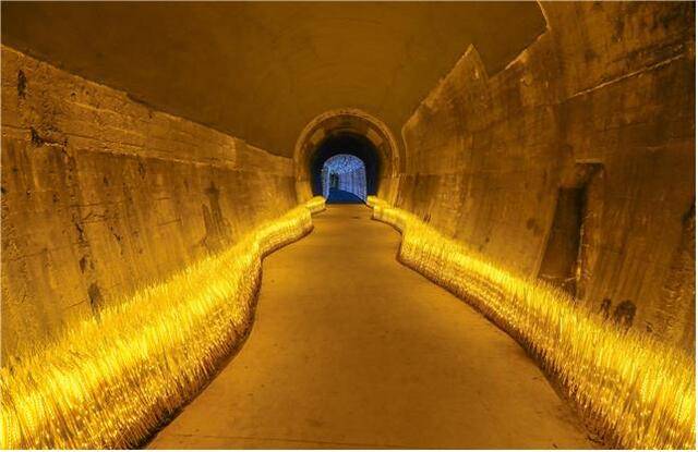 치악산 바람길숲 내 원주터널. 원주시