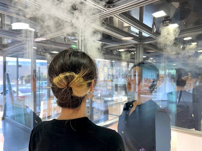 프로토타입 일니스 [KAIST 제공. 재판매 및 DB 금지]