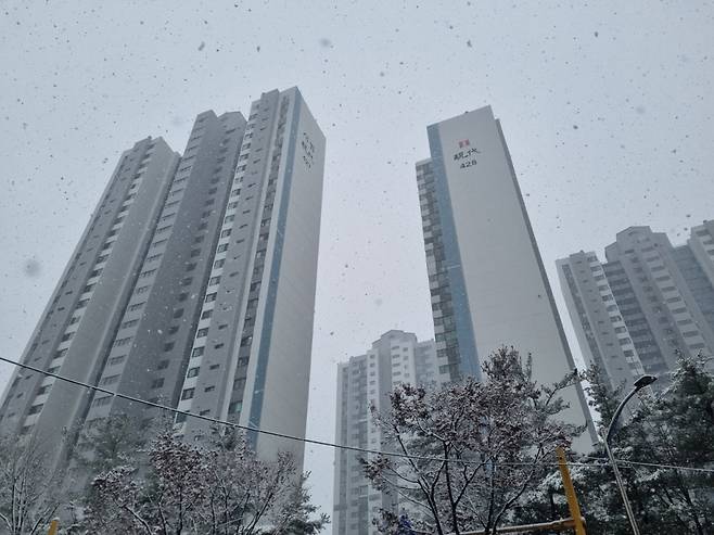 경기 성남시 분당구의 시범현대아파트/사진=이용안 기자