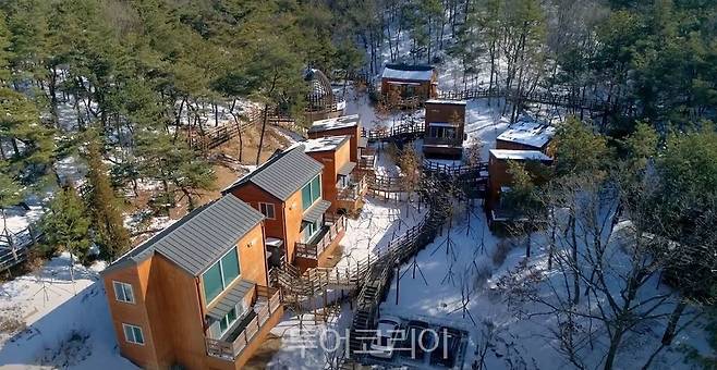 금수산 국립대전숲체원/사진=대전시