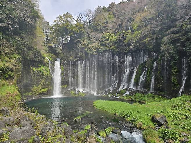 20240406_100931.jpg (사진 많음, 글 많음) 처음 올려보는 먹부림 - 대만, 싱가폴, 일본