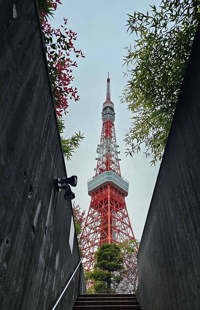 SE-4f6da988-18de-4161-a08f-97f2d547fd2d.jpg (사진 많음, 글 많음) 처음 올려보는 먹부림 - 대만, 싱가폴, 일본