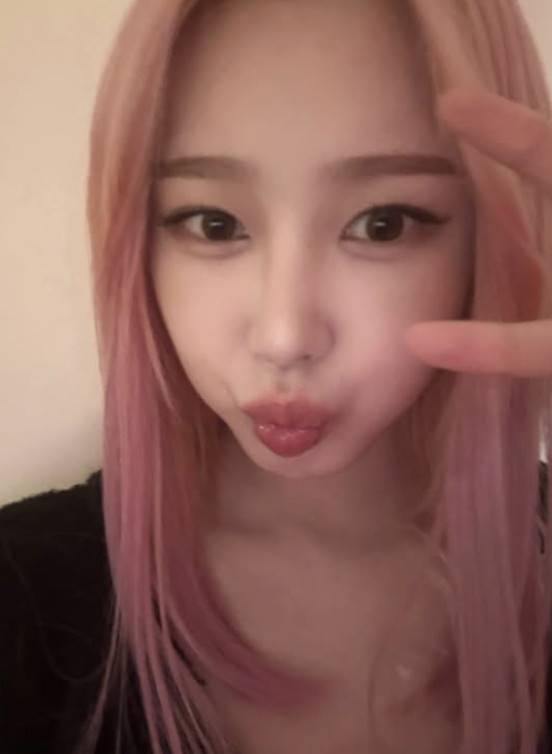 지젤 소셜 계정 캡처