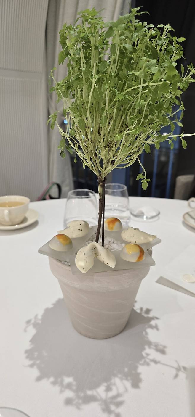 20240802_205005.jpeg 인당 28만 드레스덴 그린 후기