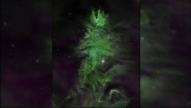 크리스마스 트리 성단으로 알려진 NGC2264 성단의 모습 (사진= NASA/CXC/SAO)