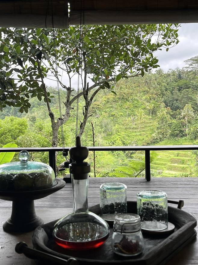 IMG_3376.jpeg 발리여행 - 정글의 매력