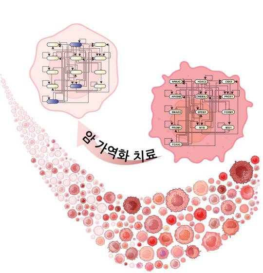 연구결과를 표현한 모식도. 카이스트 제공