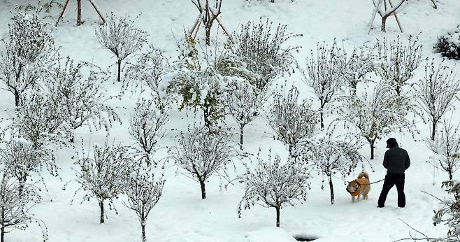 2024.11.28. 서울=뉴시스