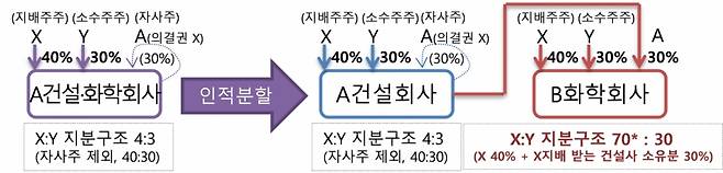 '자사주 마법' 문제점 사례 /사진=금융위원회