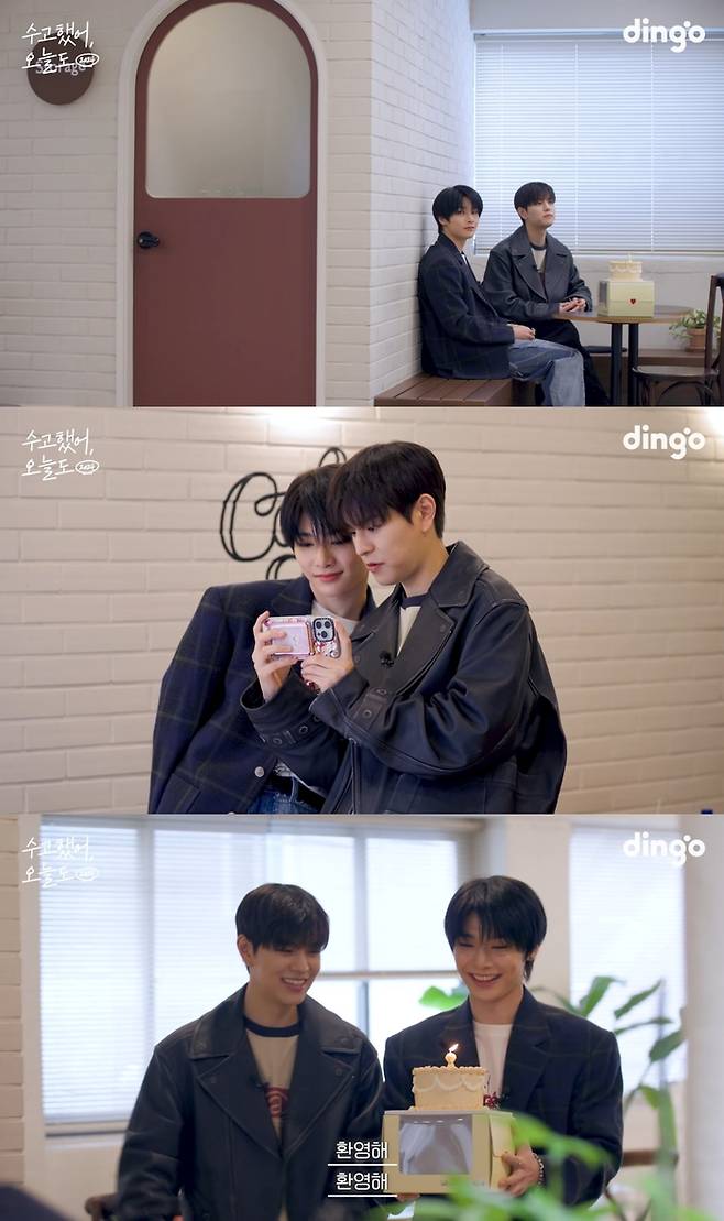 딩고