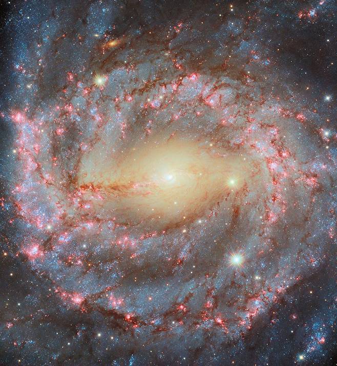 허블우주망원경이 촬영한 나선은하 'NGC 5643'의 모습. 중심은 오래된 별이 내뿜는 노란 빛이, 나선팔은 우주 먼지와 젊은 별이 내는 푸른 빛이 보인다./유럽우주국(ESA), 미 항공우주국(NASA)