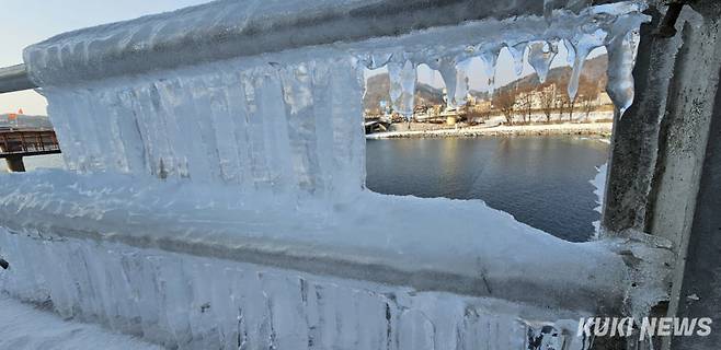 아침 기온이 영하권으로 뚝 떨어진 26일 오전 2025 화천산천어축제가 열리게 될 강원 화천군 화천천 인근에 고드름이 얼어있다.