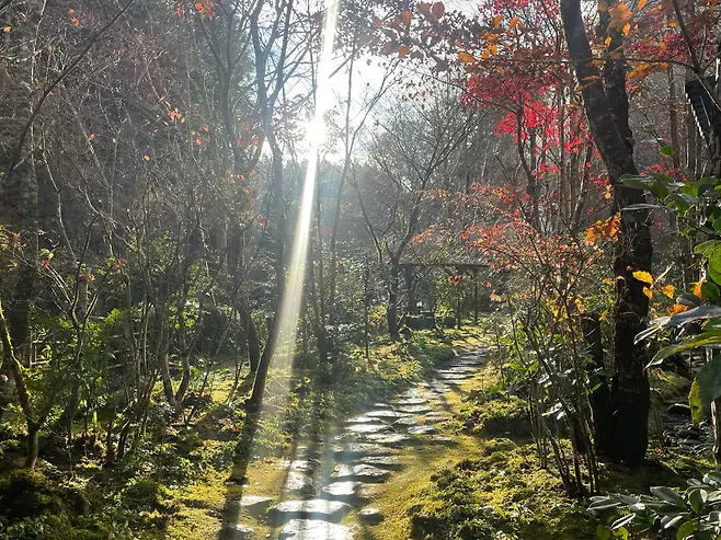 20ecef0fc8f507f73cea8efb01d4262db62c0fa985ae5ac47aeecfb56c