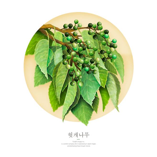 사진=클립아트코리아 제공