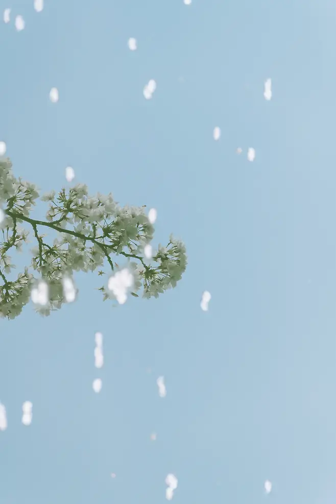 74e4f472c6f36cf1239e8391479c7064b0c8ceab053a41424c58361ab6e38d4a3febbeae39034f17c07bfff4084536d624622cc5