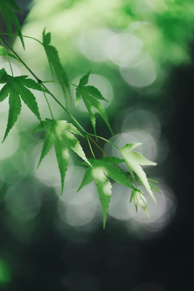 7b9c8573b2841af523ea8ee7479c706b3554ab019ea895d1dc8f4b3475362b4d49451f2c74bef5e4cb010a719468fdc0d84e786b88