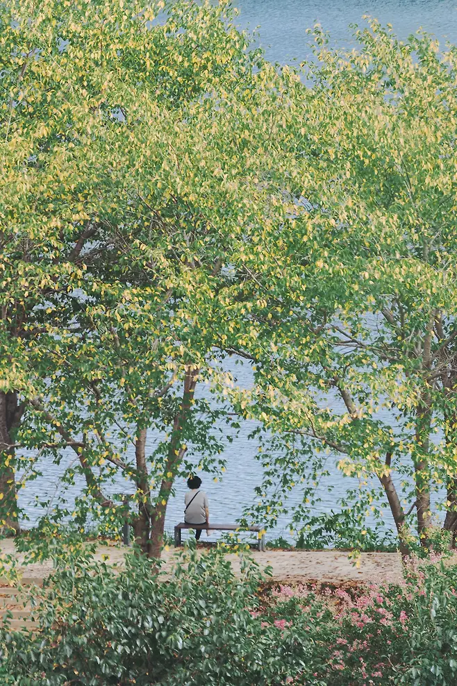 09e4f471b2826b8523ea85ec379c706c3abe09e591eea74638c9c7e21916b70b37964f1f850dfd54c876f008a404d749c4243ccf307f