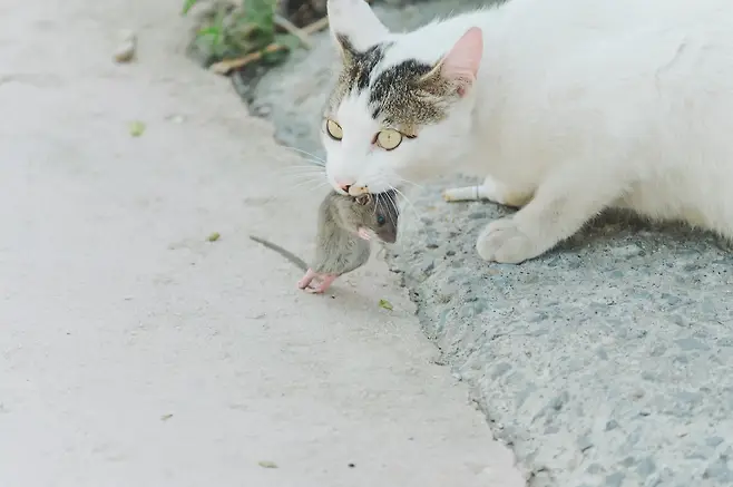 0eed8607c48368f123ec82944f9c7068ee92b92d41b023165a5491c2b211be625662b31ecde0ab94350709b57aac479905188808b3