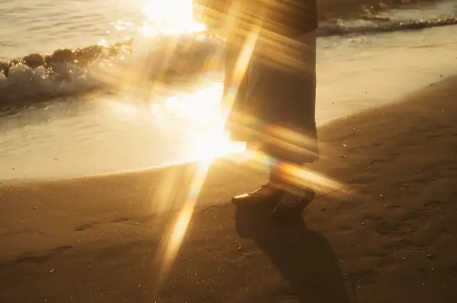 789f8204c4f16cf3239c82e3309c706c80df2cb886696d9467d07c1c3abaa56a4ff981e61ce82e37fbf56cf7d259f4d47df42af58b