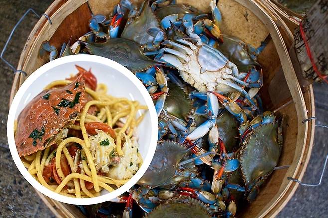 이탈리아 외래종 푸른꽃게와 이를 식재료로 한 파스타 요리. 사진=Piero Cruciatti/marinelink