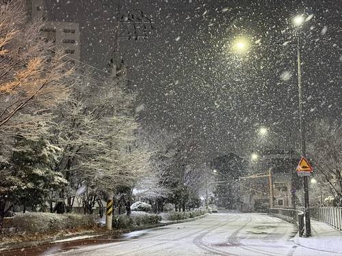 광주·전남 북부 밤사이 많은 눈  (광주=연합뉴스) 박철홍 기자 = 28일 오전 광주 남구 일대에 습하고 무거운 이른바 '습설'이 내리고 있다. 2024.12.28