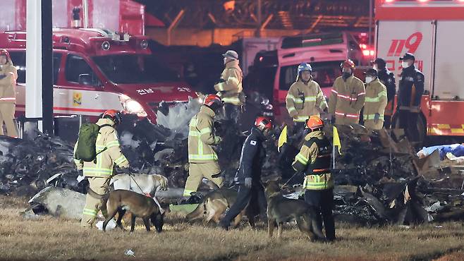 29일 오후 181명이 탑승한 제주항공 여객기가 추락한 전남 무안국제공항에서 소방대원들이 사고 수습 작업을 하고 있다. /뉴스1