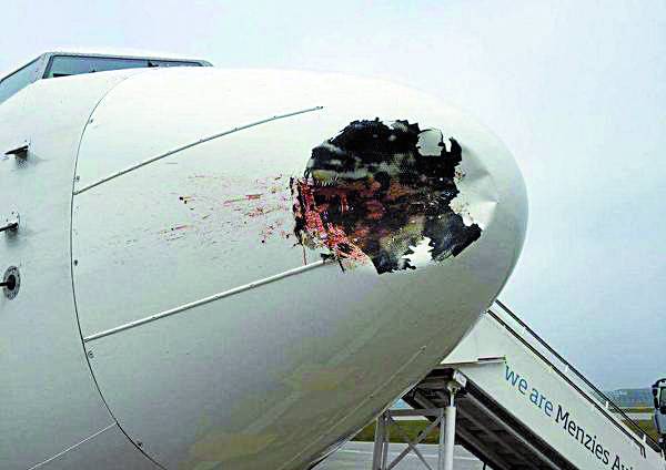 조류충돌로 비행기 앞부분이 크게 부서져 있다. 사진 위키백과