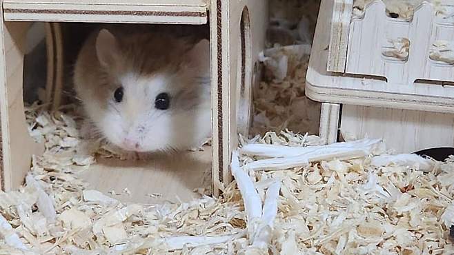 7fed8272b4806af451ef86e141817473ea5a1c2ff87a485294735720efce69c2